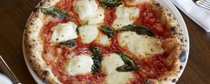 margherita       